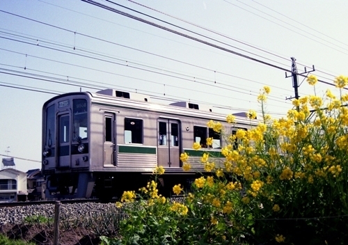 大人の上質  南海電車 1979-1994: 街場、街並み、街いぶき コレクション